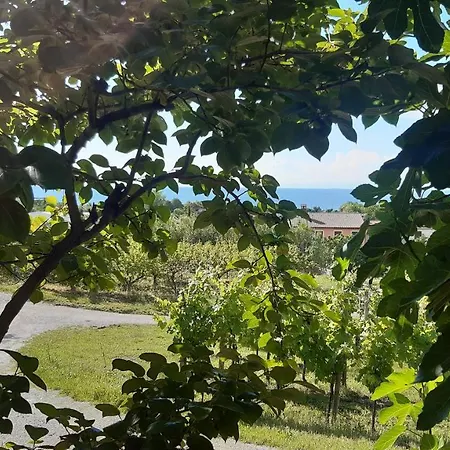 Apartma Tul Διαμέρισμα