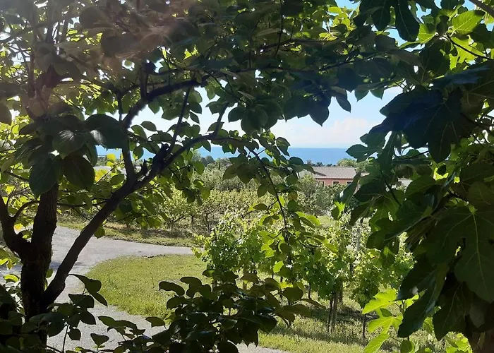 Apartma Tul Διαμέρισμα